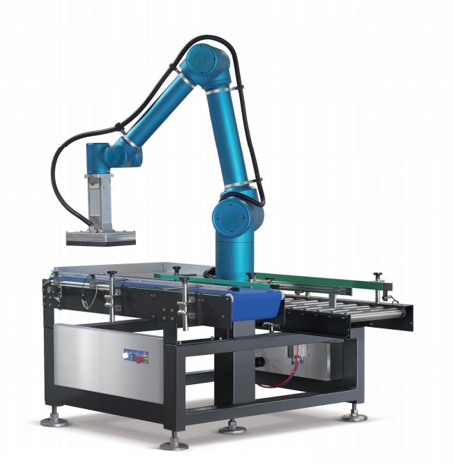 Revolutionize Your Packaging Process with Advanced Robots Automation ...